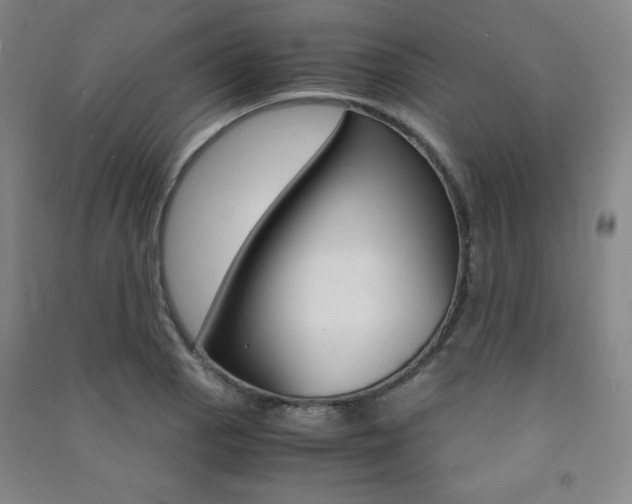 X0000091491129200708161205