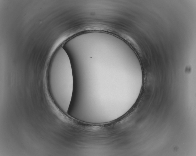 X0000091491130200708161205