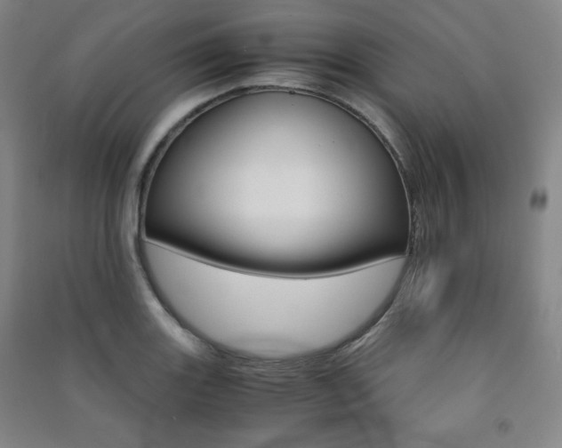 X0000091491131200708161205