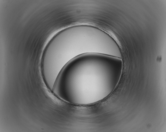 X0000091491132200708161205