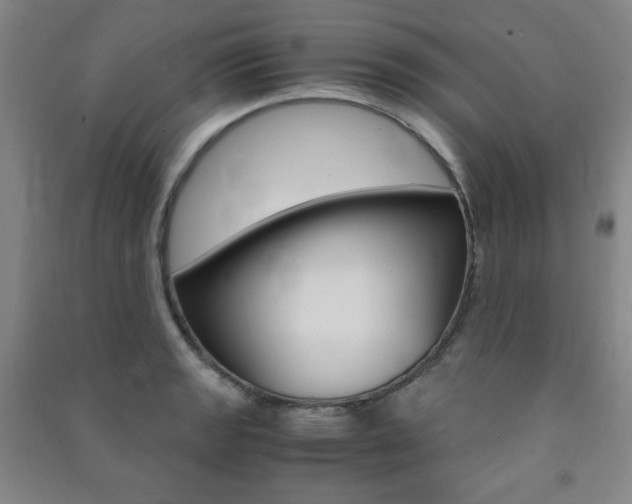 X0000091491133200708161205