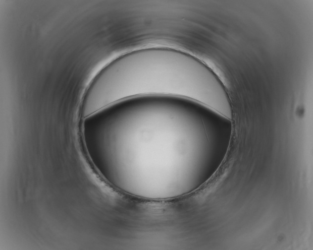 X0000091491134200708161205
