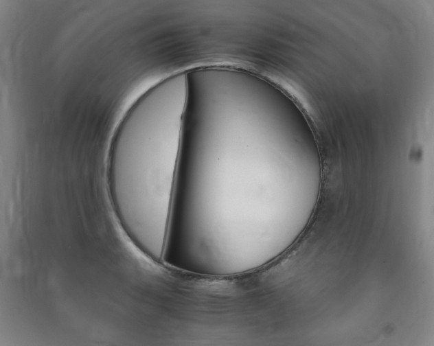 X0000091491135200708161205