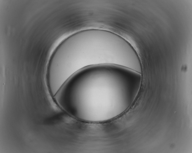 X0000091491136200708161205