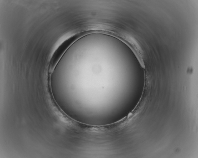X0000091491138200708161205