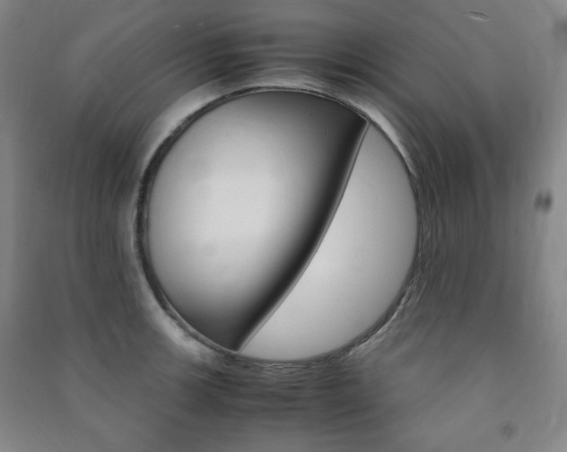 X0000091491139200708161205