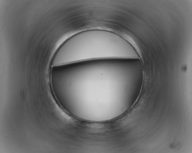 X0000091491141200708161205