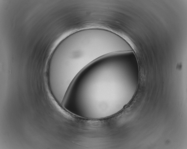 X0000091491142200708161205