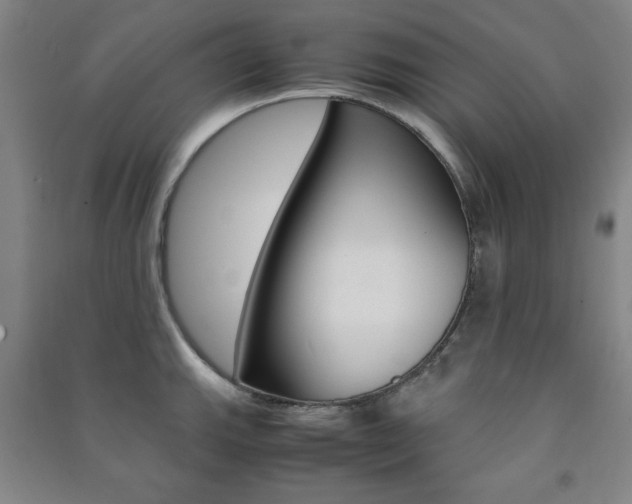 X0000091491143200708161205