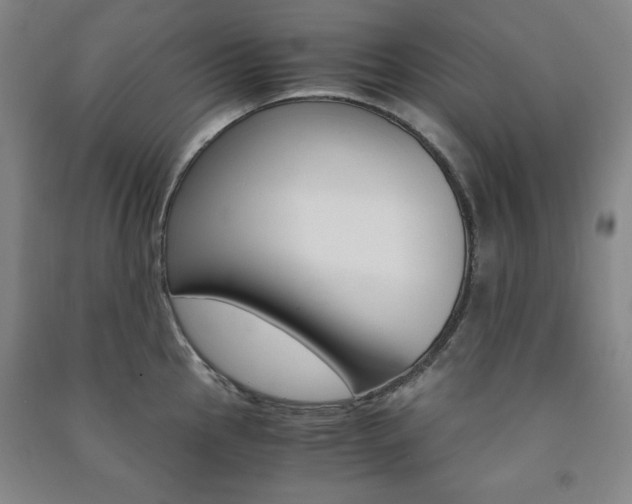 X0000091491145200708161205