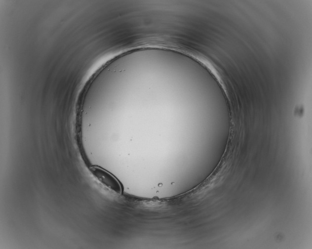 X0000091491147200708161205