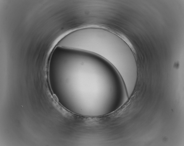 X0000091491148200708161205