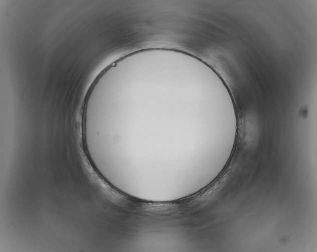 X0000091491150200708161205