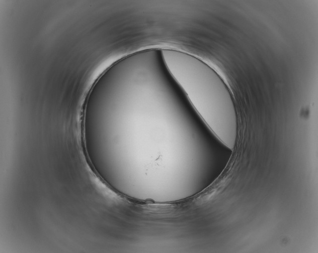 X0000091491151200708161205