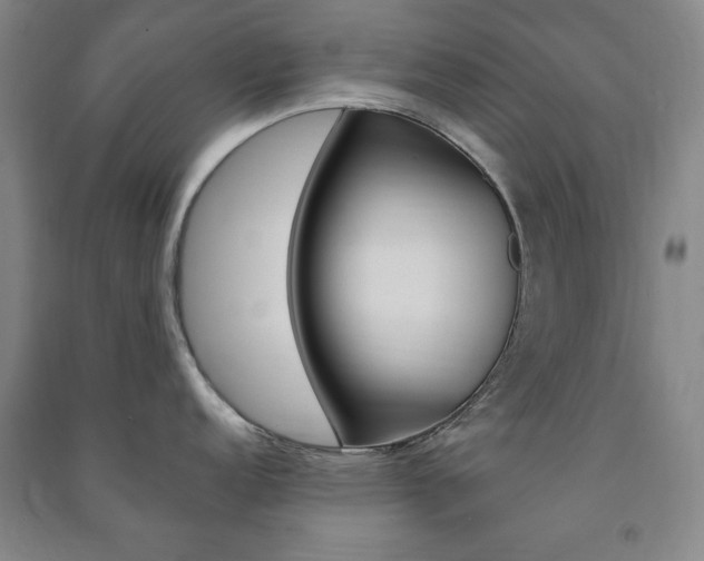 X0000091491152200708161205