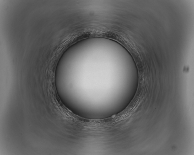 X0000091491153200708161204