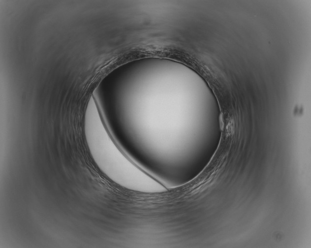 X0000091491156200708161204