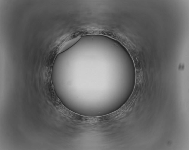 X0000091491157200708161204