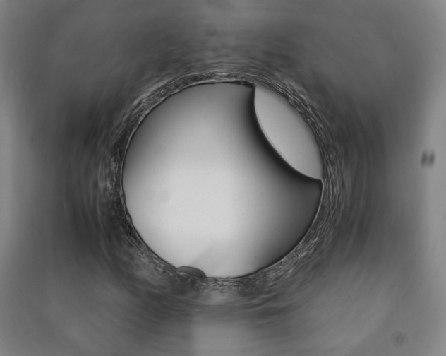 X0000091491158200708161204