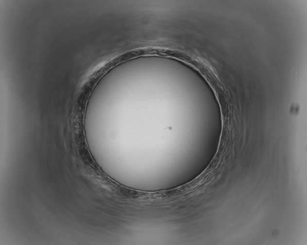 X0000091491159200708161204