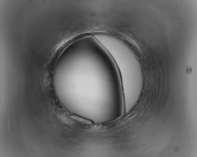 X0000091491160200708161204
