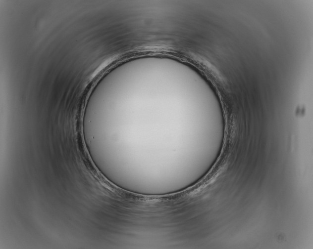 X0000091491162200708161204