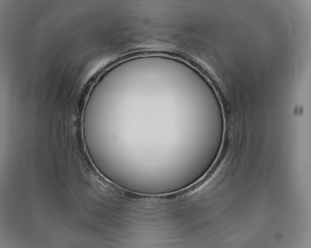 X0000091491163200708161204