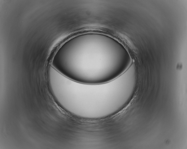 X0000091491164200708161204