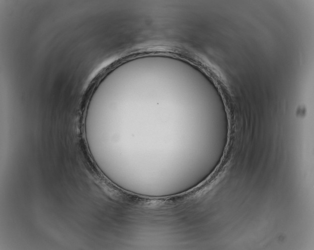 X0000091491166200708161204