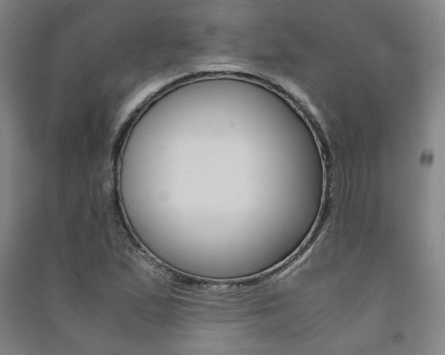 X0000091491167200708161204