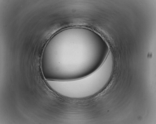 X0000091491169200708161204