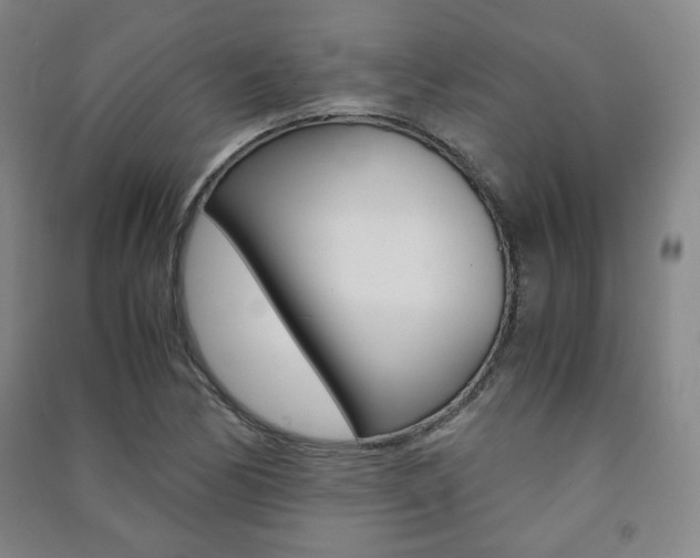 X0000091491170200708161204