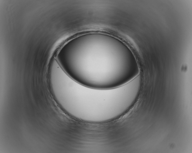 X0000091491172200708161204