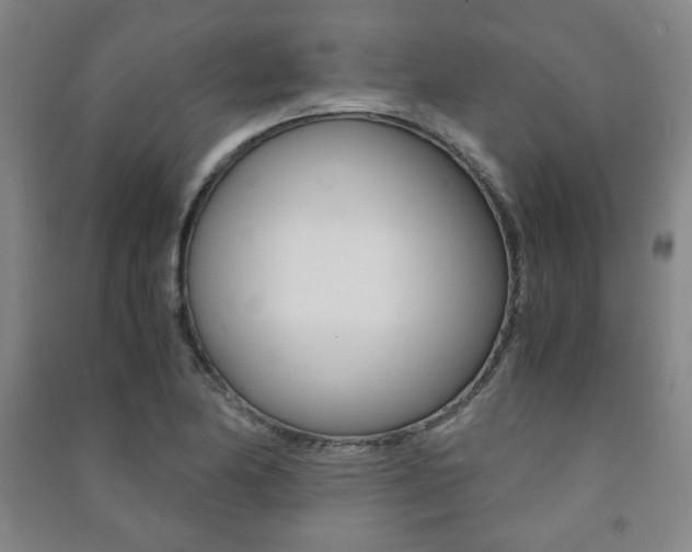 X0000091491174200708161204