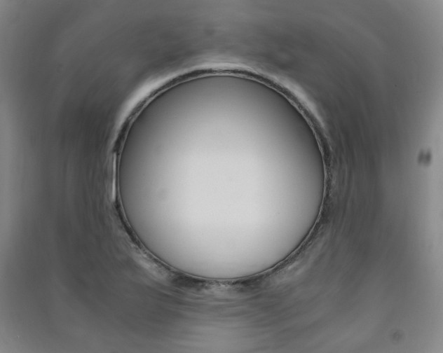 X0000091491175200708161204