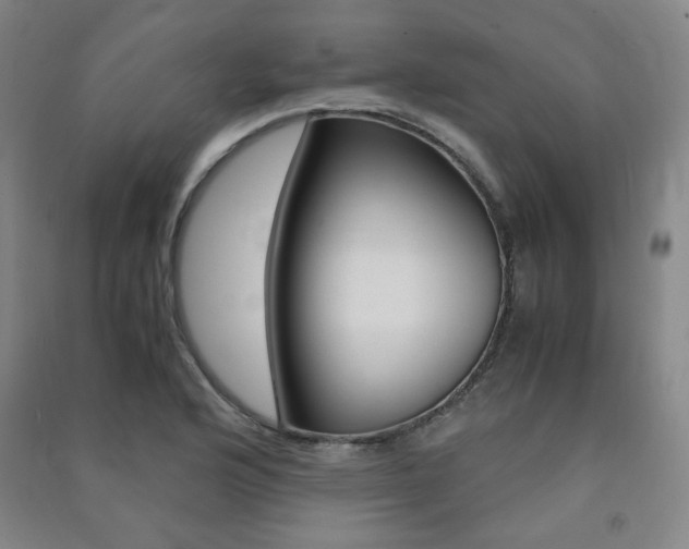 X0000091491176200708161204