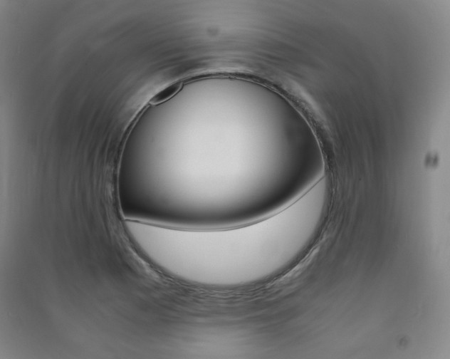 X0000091491177200708161204