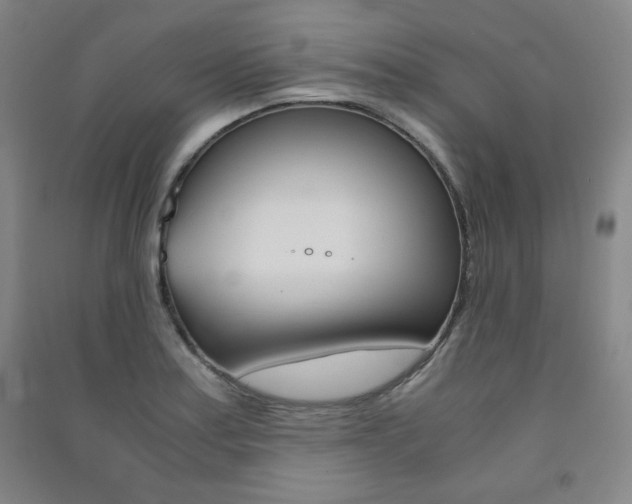 X0000091491179200708161204