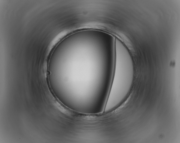 X0000091491180200708161204
