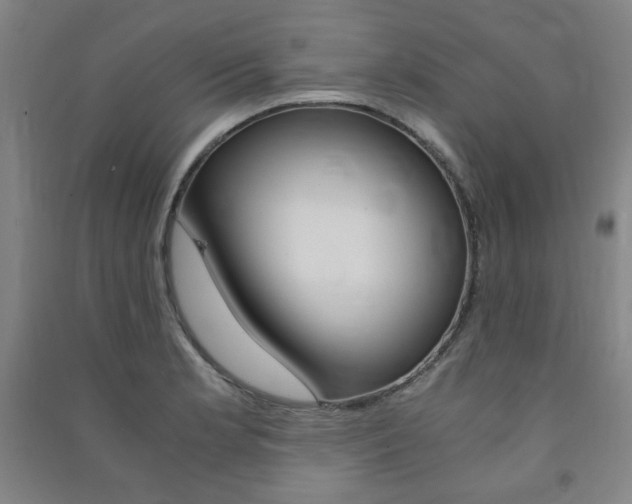 X0000091491181200708161204