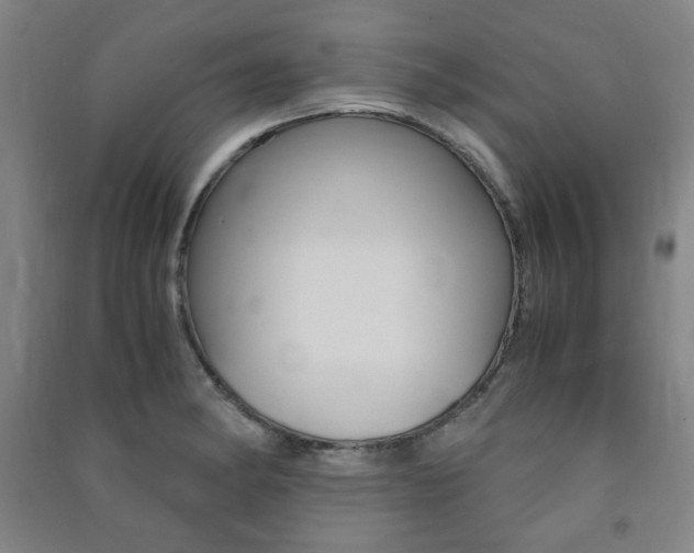 X0000091491182200708161204