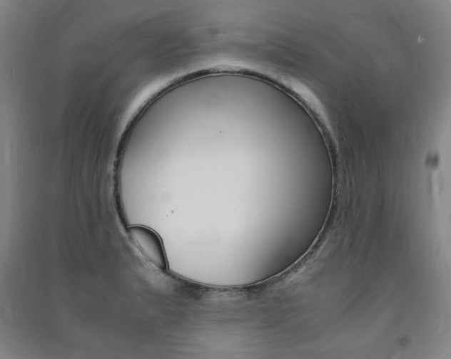 X0000091491183200708161204