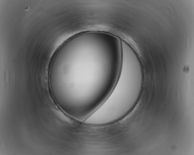 X0000091491184200708161204