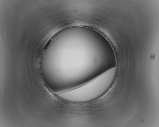 X0000091491185200708161204