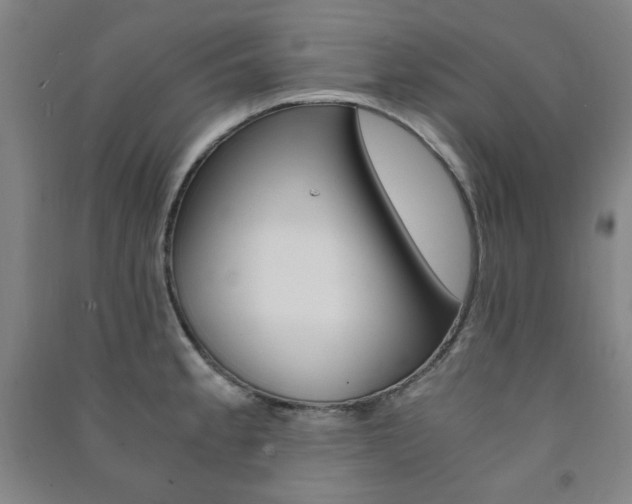 X0000091491189200708161204