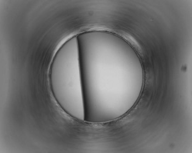 X0000091491190200708161204