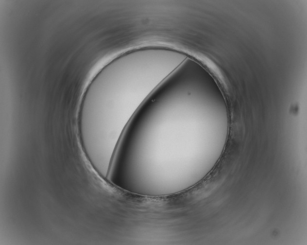 X0000091491191200708161204