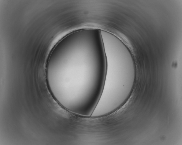 X0000091491192200708161204