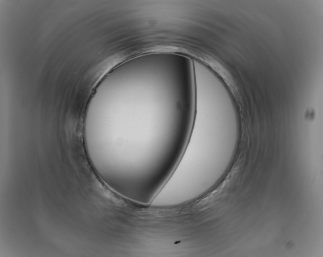 X0000091491193200708161204