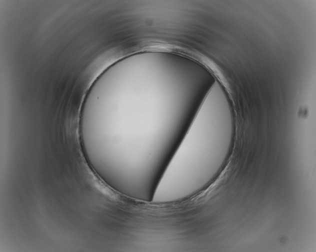 X0000091491194200708161204
